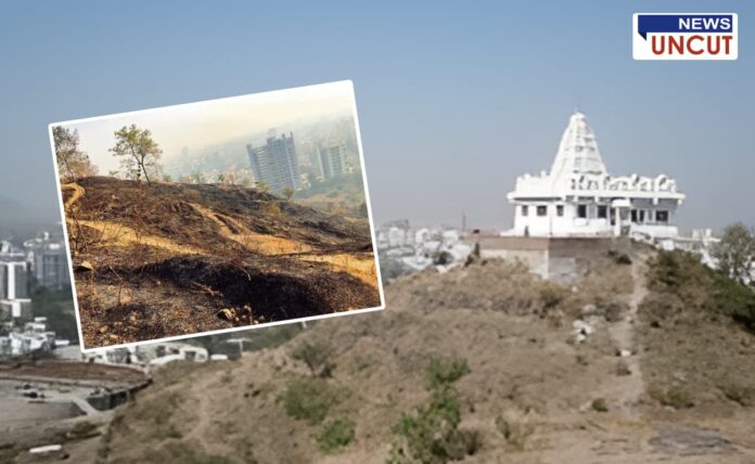 Tukai Tekdi in Pune showing environmental destruction due to illegal deforestation. A temple is visible on the hilltop, while a highlighted inset image shows barren land with burnt trees and urban buildings in the background. The image represents the impact of encroachment and administrative negligence.