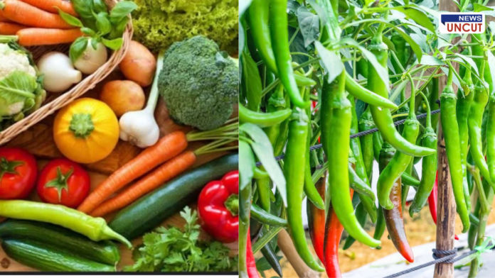 भाजीपाल्यांचे दर गडगडले, हिरवी मिरची मात्र 'आगी'त!