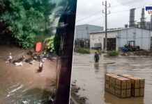 Bhosari MIDC Flood Damage and Industrial Losses