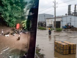 Bhosari MIDC Flood Damage and Industrial Losses