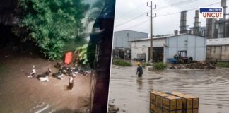 Bhosari MIDC Flood Damage and Industrial Losses