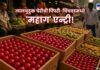 Colorful wooden crates filled with neatly arranged red, green, and yellow fruits on display at a busy outdoor Indian market, with vendors and shoppers in the background.