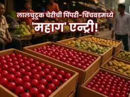 Colorful wooden crates filled with neatly arranged red, green, and yellow fruits on display at a busy outdoor Indian market, with vendors and shoppers in the background.