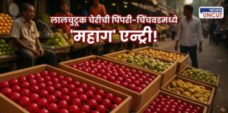 Colorful wooden crates filled with neatly arranged red, green, and yellow fruits on display at a busy outdoor Indian market, with vendors and shoppers in the background.