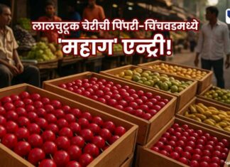 लालचुटूक चेरीची पिंपरी-चिंचवडमध्ये ‘महाग’ एन्ट्री! Colorful wooden crates filled with neatly arranged red, green, and yellow fruits on display at a busy outdoor Indian market, with vendors and shoppers in the background.