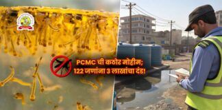 Pimpri Chinchwad Mosquito Control Drive