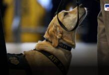 Shourya Dog Bomb Detection at Dehu Palkhi Sohala