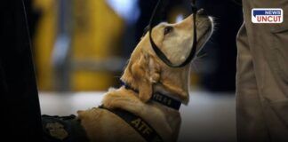 Shourya Dog Bomb Detection at Dehu Palkhi Sohala