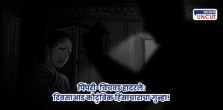 Pimpri-Chinchwad domestic violence cases