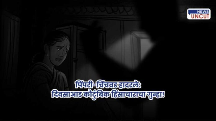 Pimpri-Chinchwad domestic violence cases