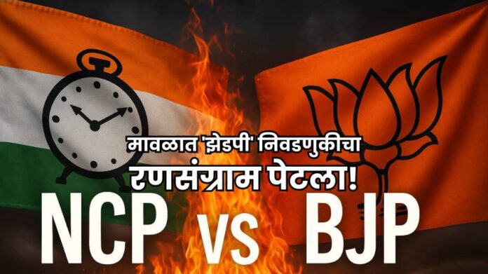 Maval ZP Election 2025 BJP vs NCP face off