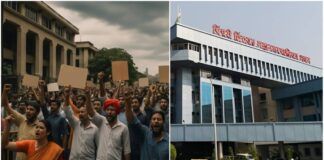 Objections Filed Against PCMC Development Plan