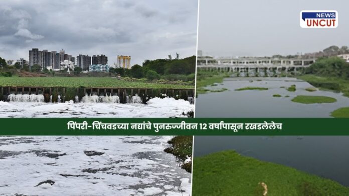 Polluted Pavana River in Pimpri-Chinchwad area, Project report for rejuvenation of Indrayani and Pavana Rivers, BJP leaders submit memorandum to Chief Minister,