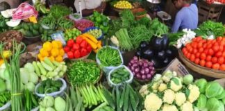 पाऊस लांबल्याने भाजीपाला बाजारात दरांचा खेळ मटार-वांग्याने वाढवला ताप! Rain affecting vegetable supply: