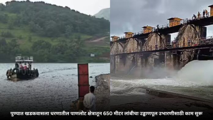 दुर्जना सज्जन काय करी (7)