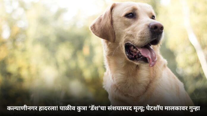 मानहानी कायद्याचा दुरुपयोग (2)