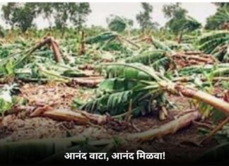 आनंद वाटा, आनंद मिळवा!