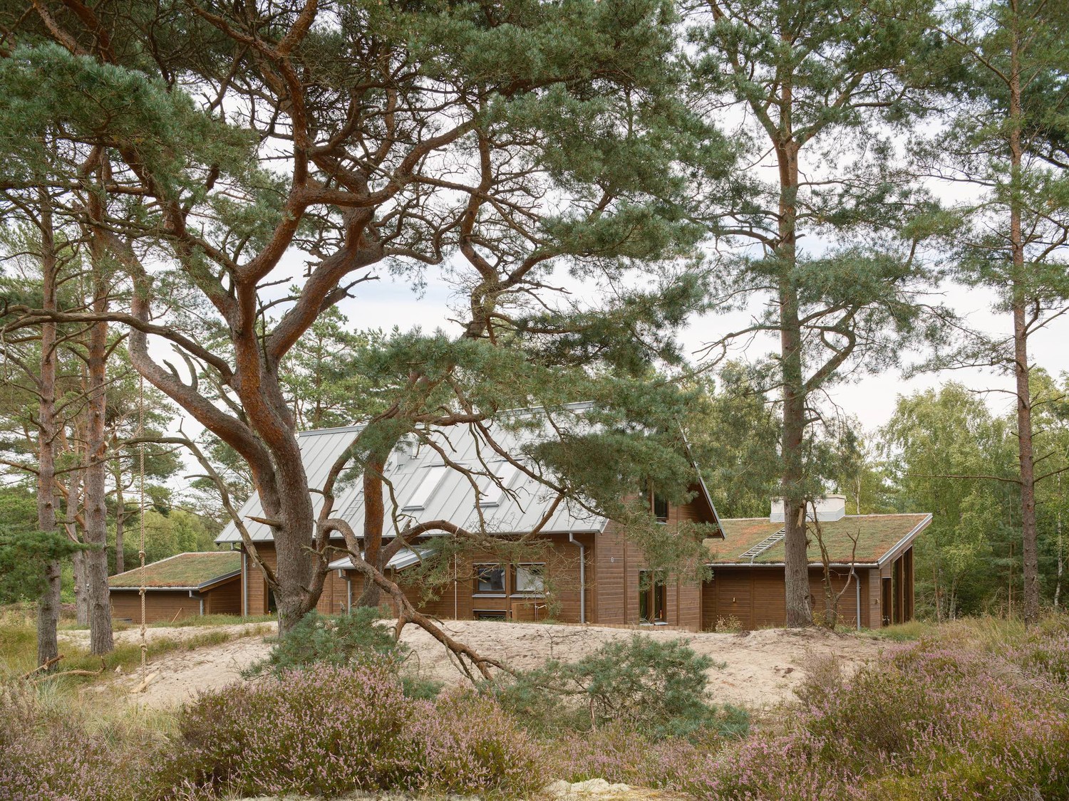 Bjartmar och Hylta Arkitekter | Österlen, mellan skog och  strand