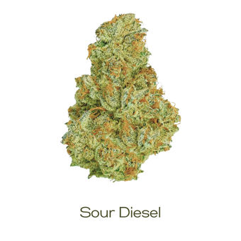 Sour Diesel