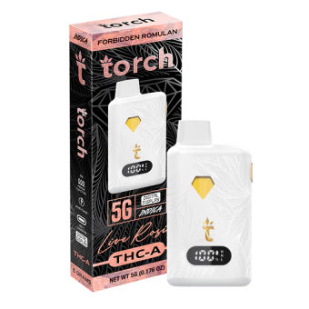 Torch