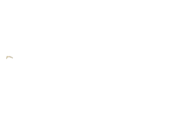 TRISULA88 Logo