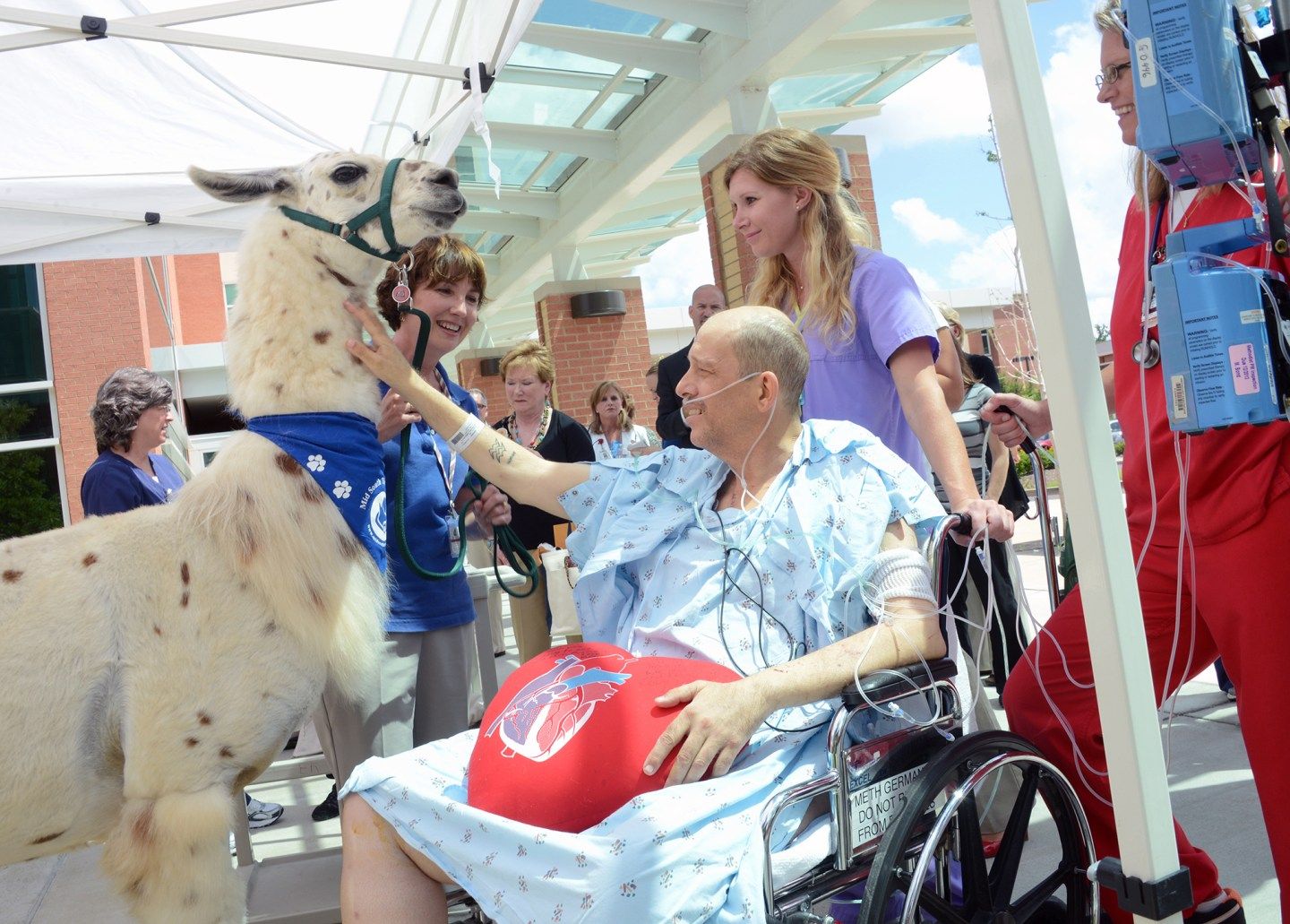 How to Create a Great Workplace in Health Care