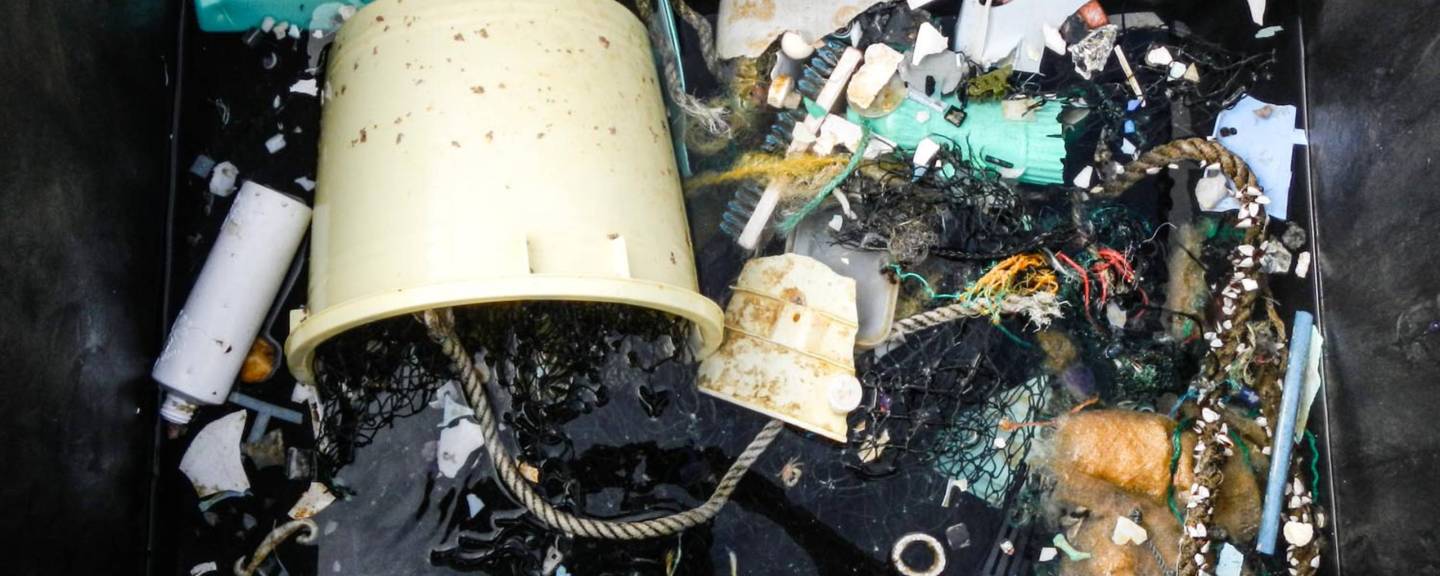 Great Pacific Garbage Patch samples