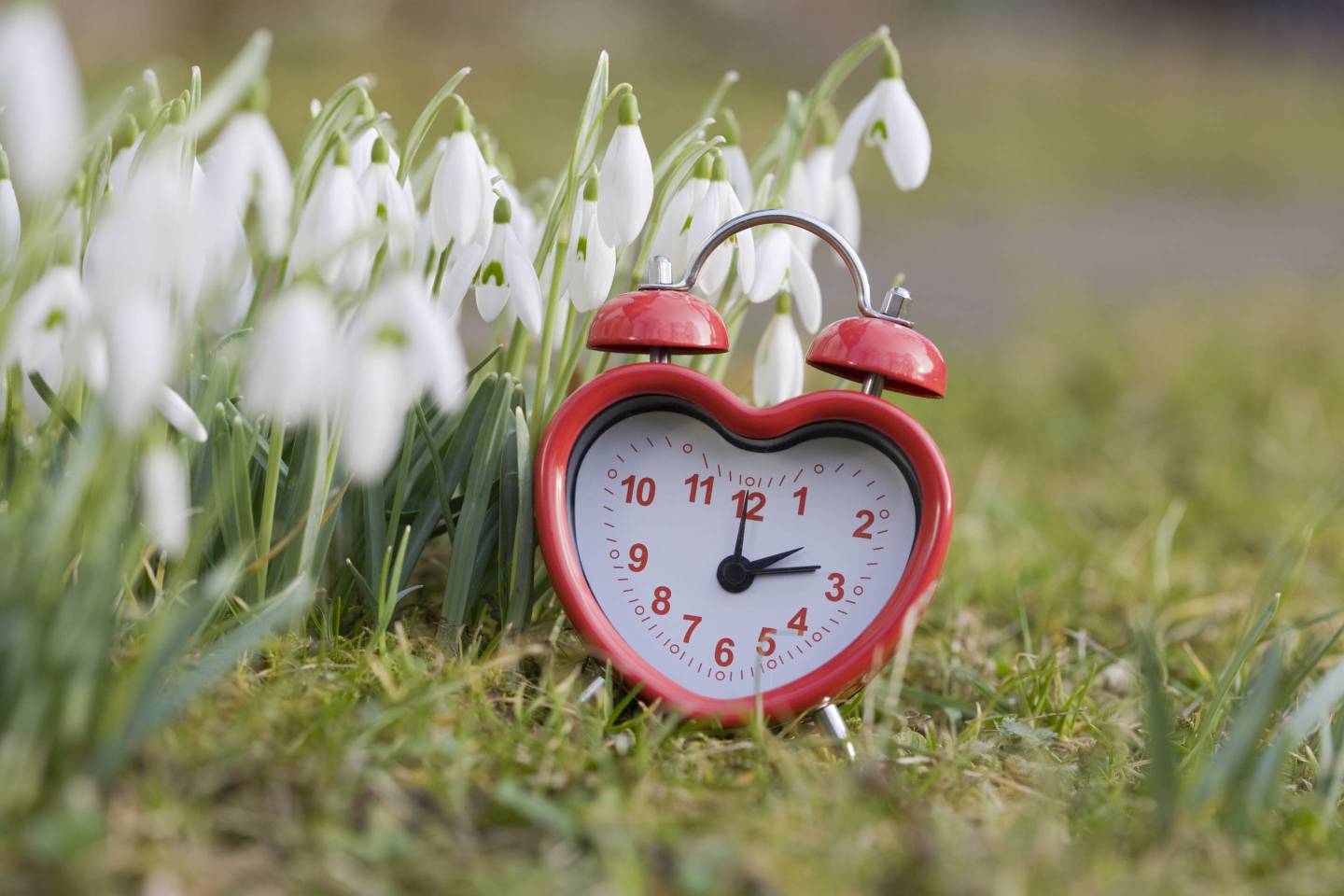 Daylight Saving Time 2019