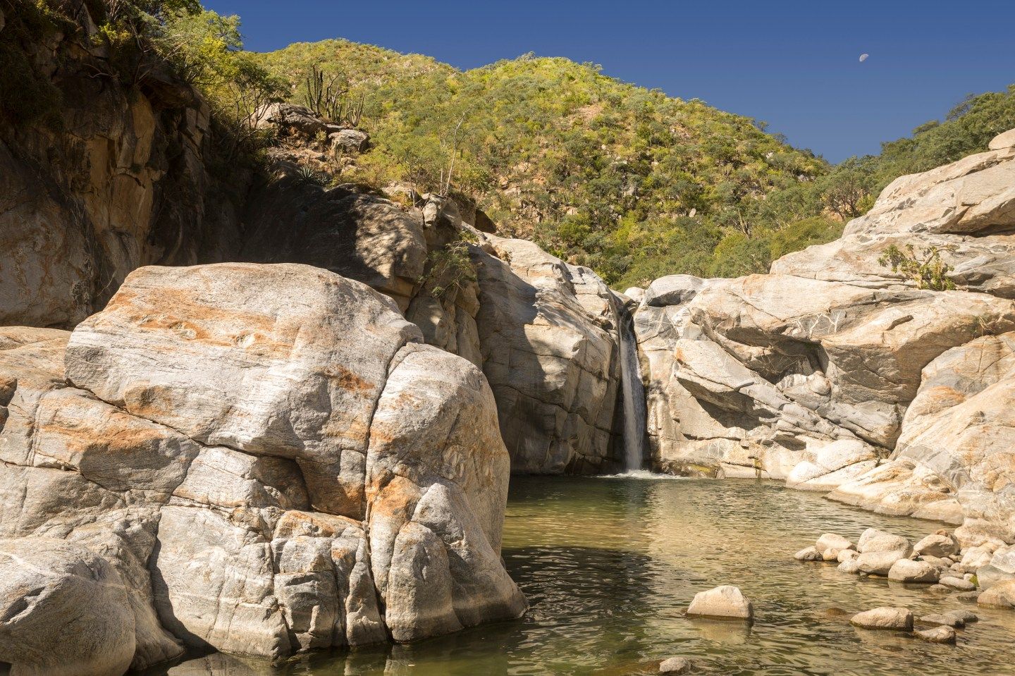 The Ritz-Carlton Reserve’s Zadún resort is squarely aimed at travelers seeking tranquility, quietude, and wellness.