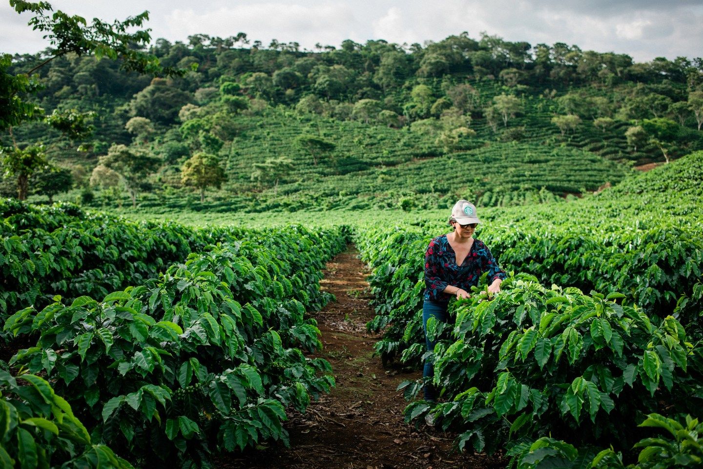 Carbon emissions rise again after pandemic-led historic drop