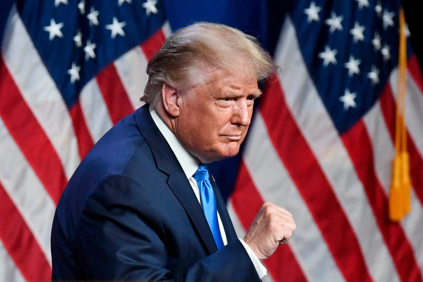 Donald Trump-RNC Platform