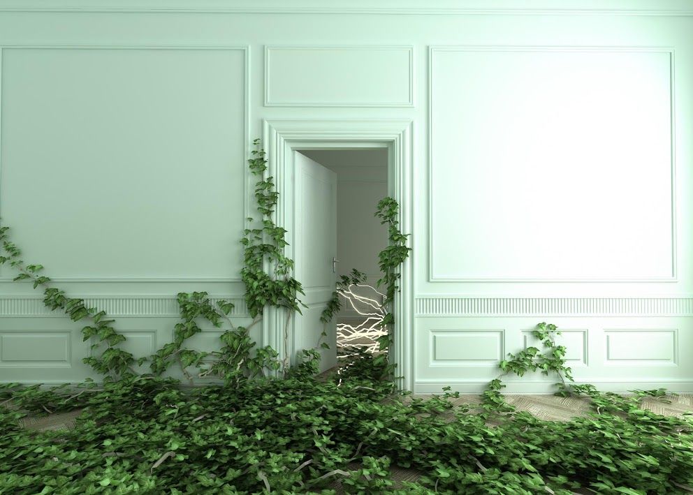 Crypto marketplace OpenSea raises $23 million to be the ‘Amazon of NFTs’