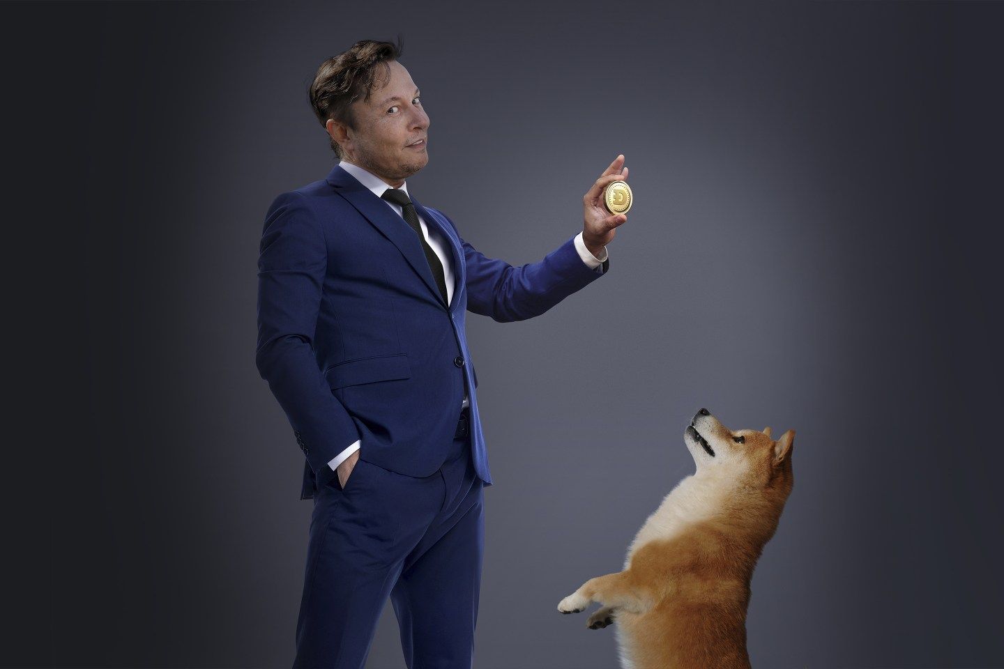 Elon Musk is the master of the markets. But how long will Tesla and the meme stocks rule?