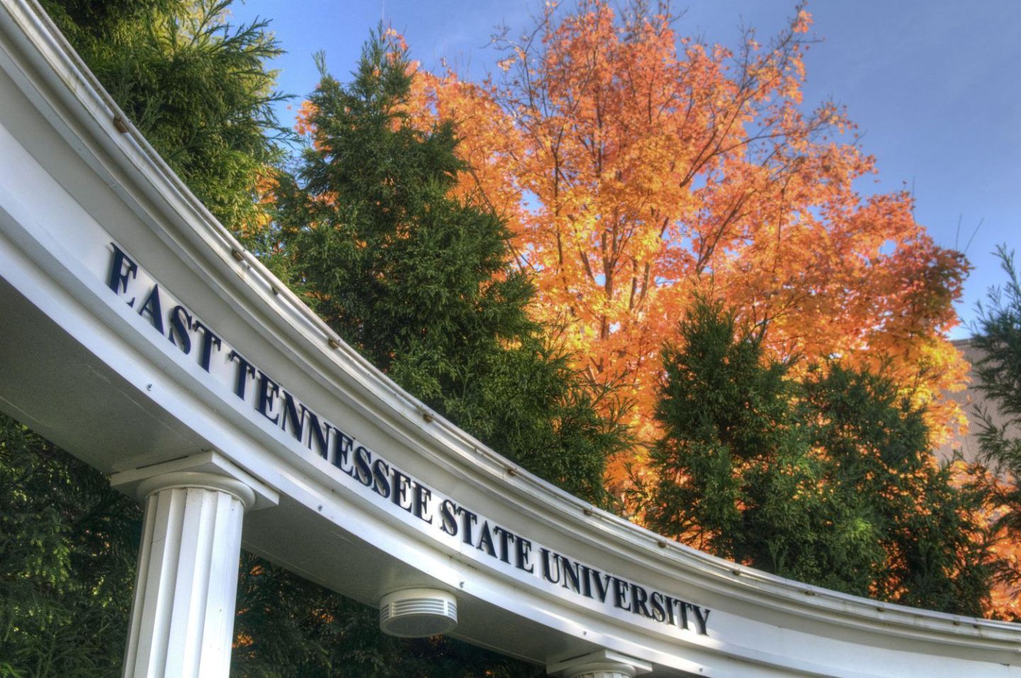 9. East Tennessee State University