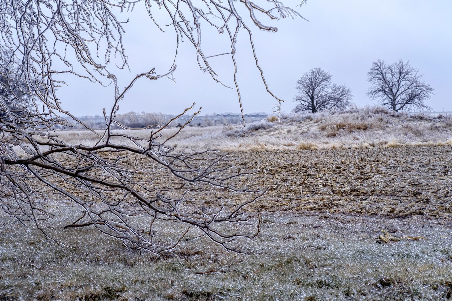 A dreary photo of farmland in winter