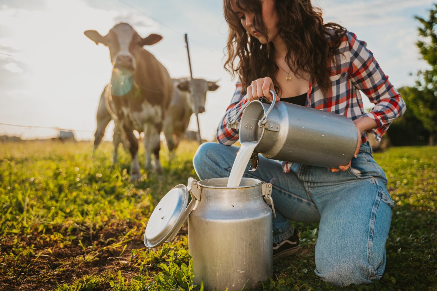 woman pouring milk from one container into another outside, with a cow in the background