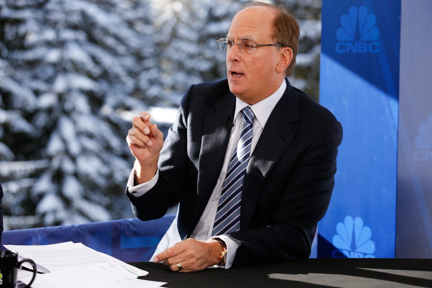 BlackRock CEO Larry Fink speaks on CNBC