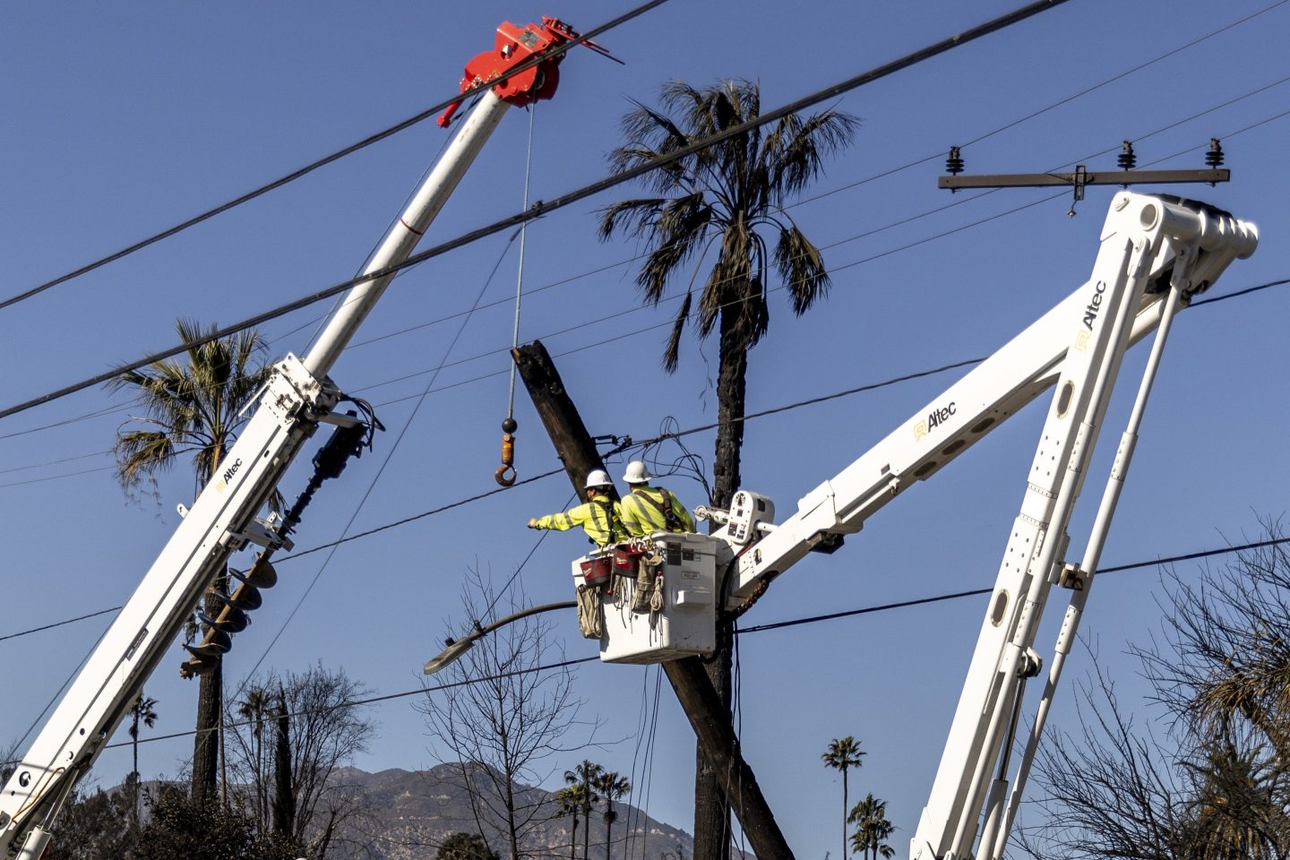 Edison workers work on a utility pole in California with palm trees in the background