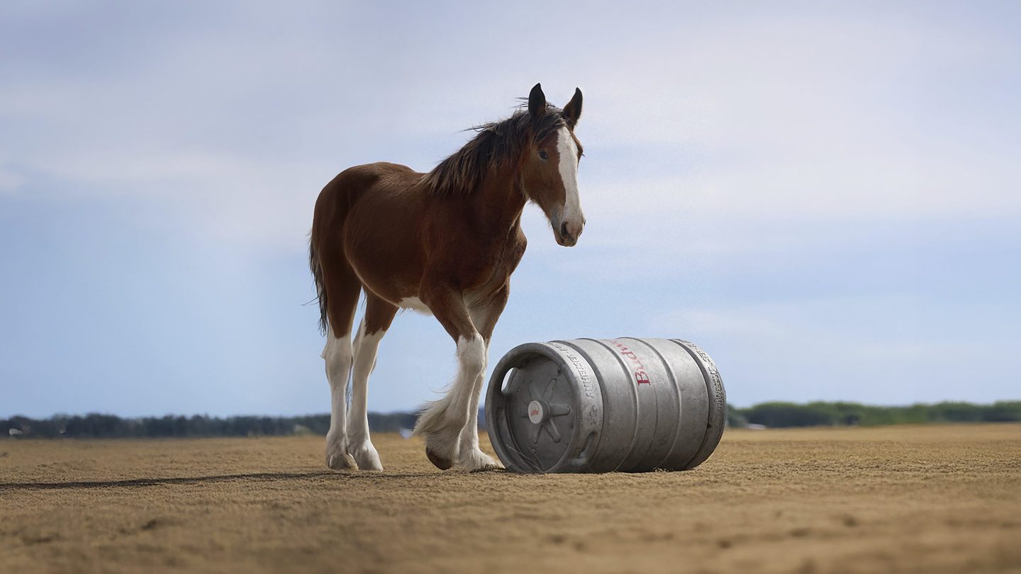 The Budweiser 2025 Super Bowl NFL football spot. 
