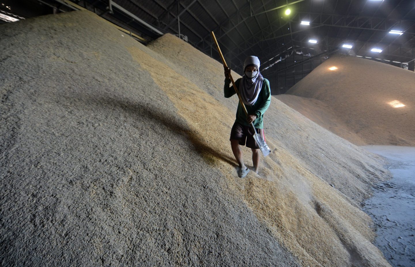 A worker sifts a rice stockpile in Thailand. Japan stockpiles 1 million tons of rice that it will soon tap to lower prices.