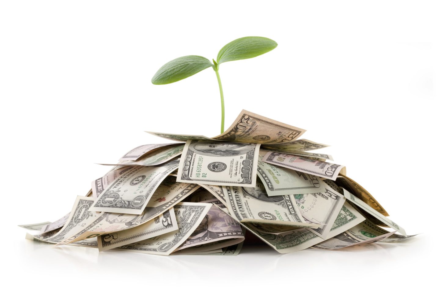 A seedling sprouts from a pile of cash