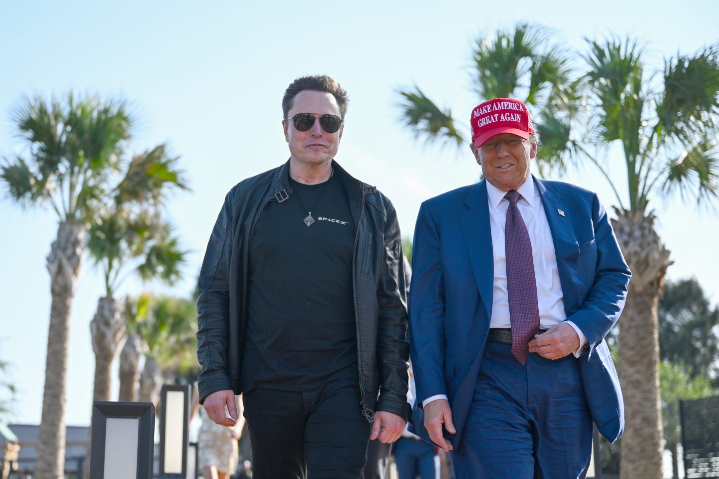 Donald Trump and Elon Musk post-election win on Nov. 19.