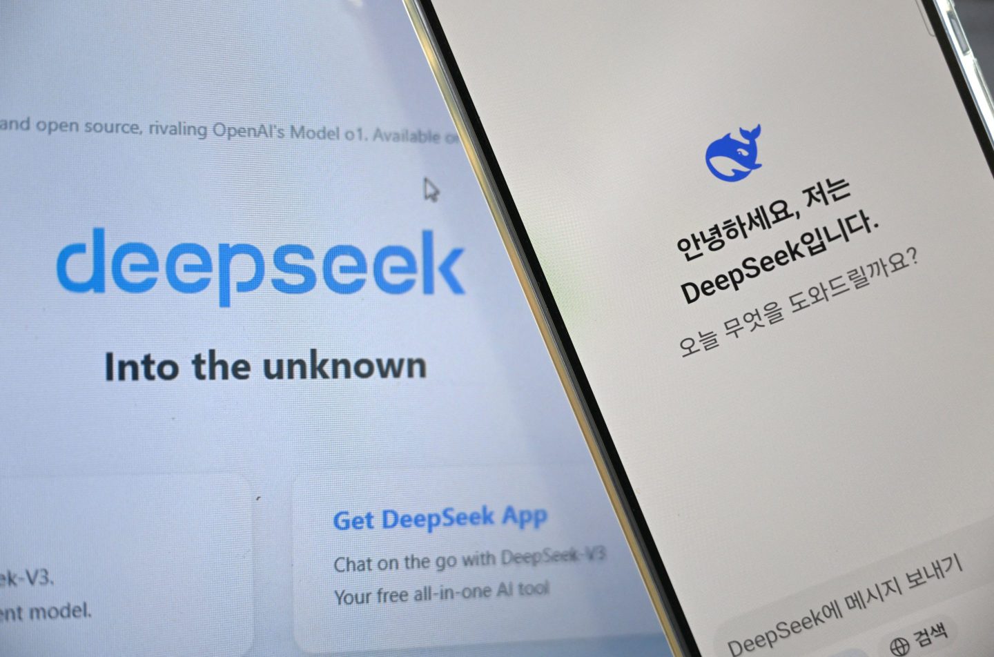 A number of countries have questioned DeepSeek's storage of user data, which the firm says is collected in "secure servers located in the People's Republic of China".