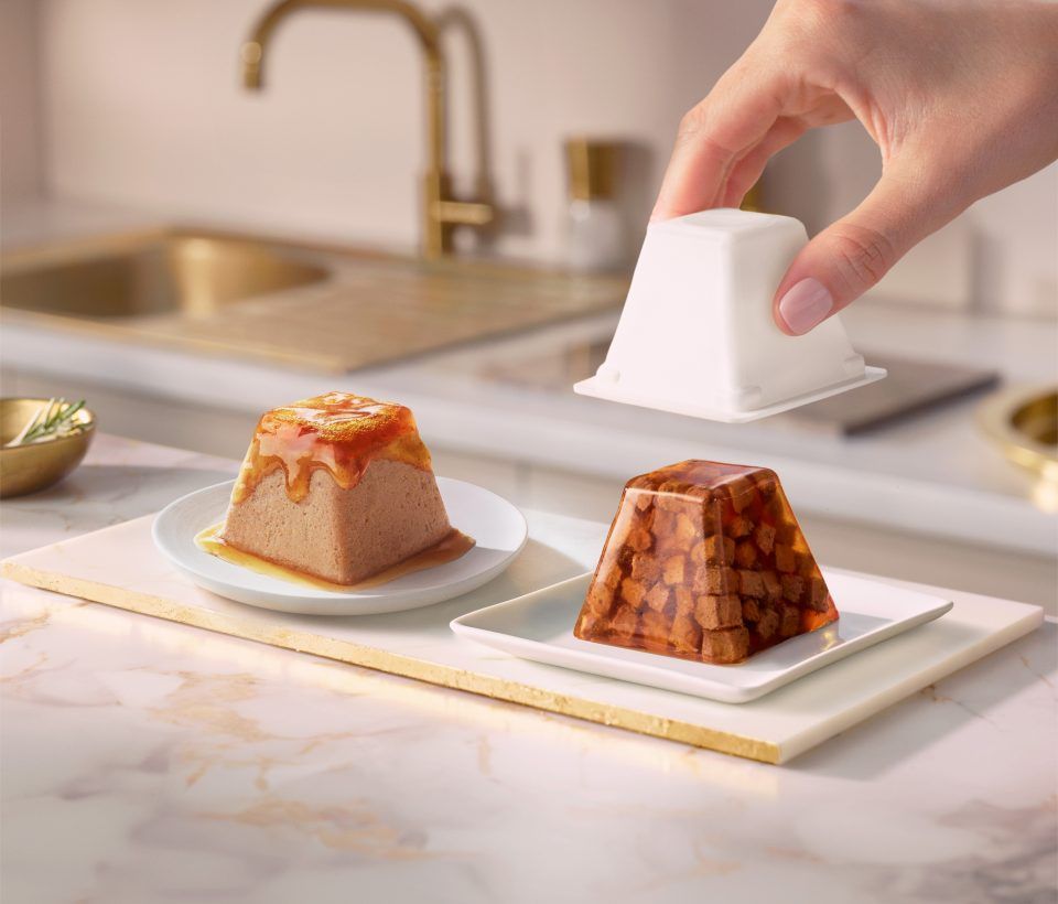 Purina Gourmet Revelations