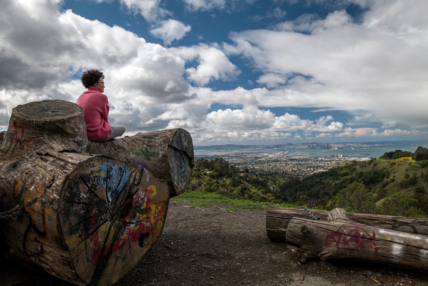 A person sitting on a tree stump looks at the San Francisco skyline from Tilden Regional Park in Berkeley, California.