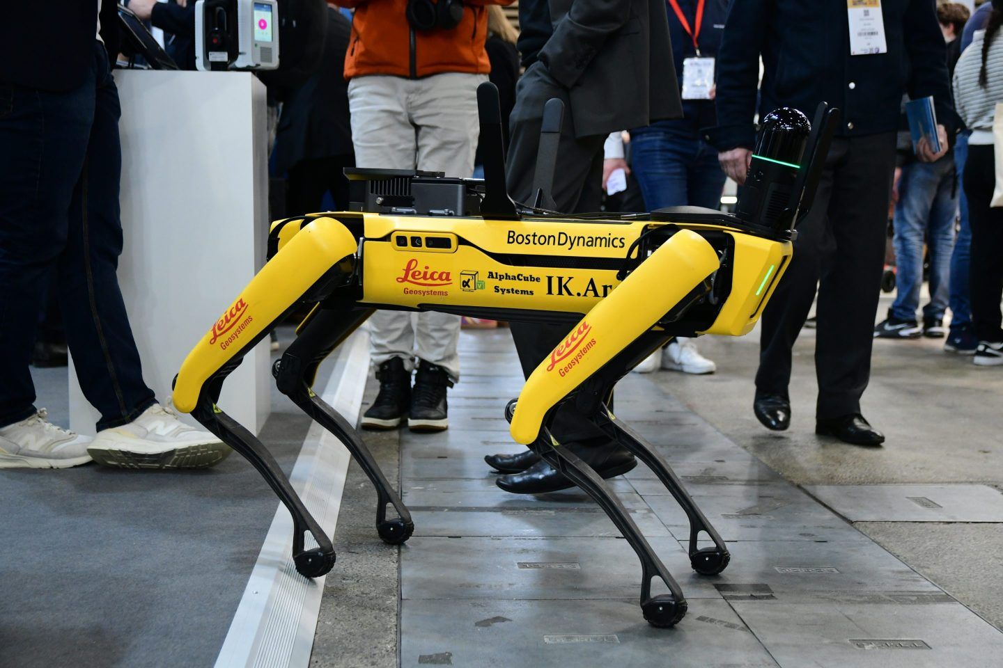 A robot dog from Boston Dynamics