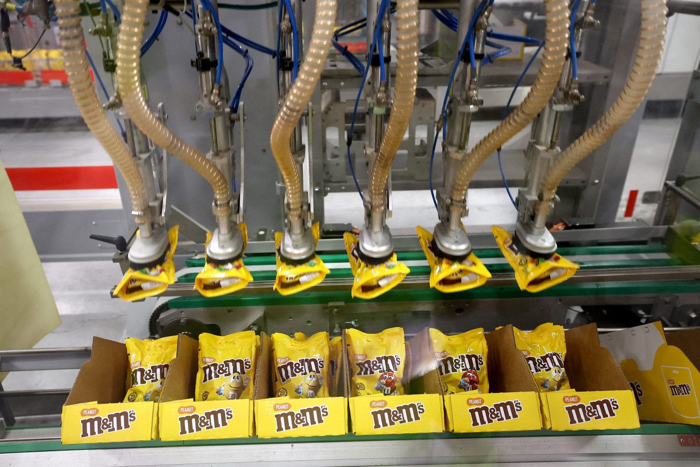 Packs of M&M candy in production at a factory