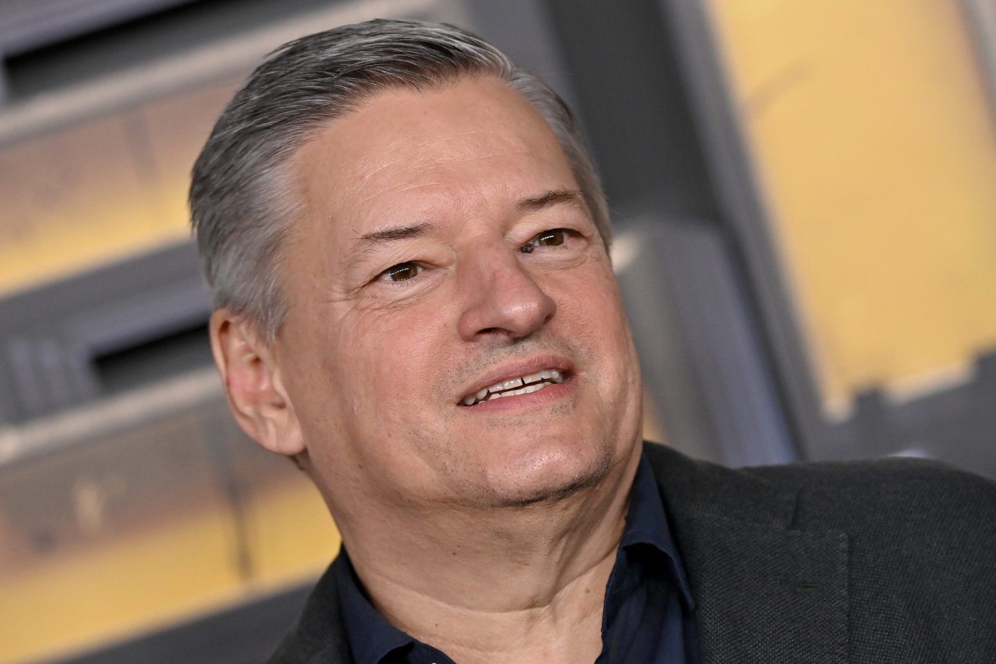 Ted Sarandos, Netflix co-CEO