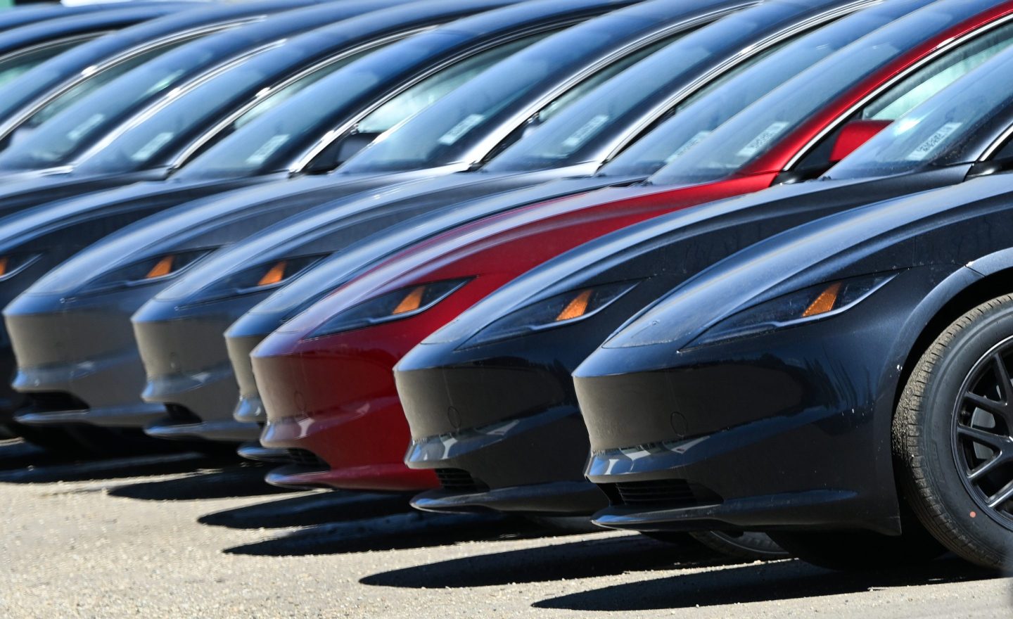 A line of Tesla cars