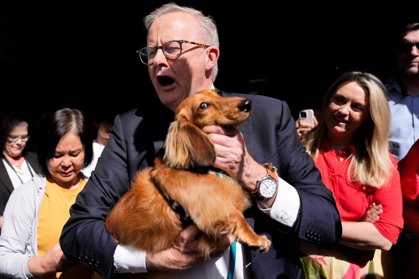 Australian Prime Minister Anthony Albanese holds a member of the public's dog during a visit Sunnybank Market Square in the electorate of Moreton on April 29, 2025 in Brisbane, Australia.